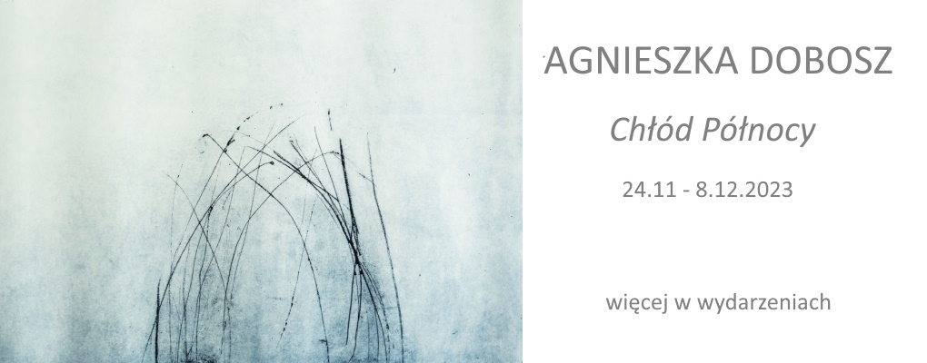 https://www.fejkielgallery.com/chlod-polnocy,451.html